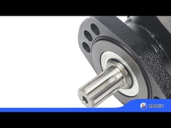 BMER-2-300-FH-SW Hydraulic motor low speed high torque 18.08 cubic inch displacement