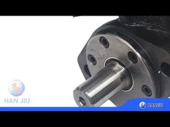 BMP-200-2-E-D-B hydraulic Motor with relief valve, SAE 6B Shaft , BSPP ports