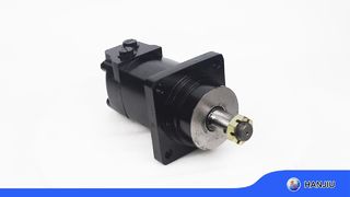 BMK2 Hydraulic motor
