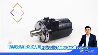 BMPH80-H2-S-S-B
