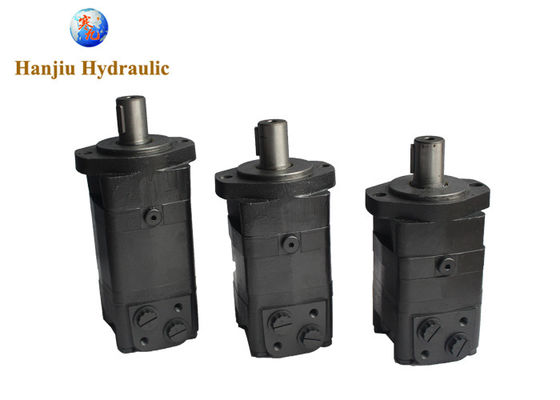 80cc 100cc 250cc 315cc 2 Bolt Shaft 31.75 G1/2 Bmsy Hydraulic Motor