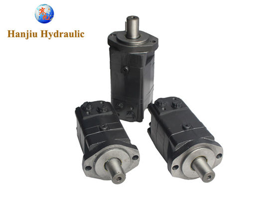 80cc 100cc 250cc 315cc 2 Bolt Shaft 31.75 G1/2 Bmsy Hydraulic Motor